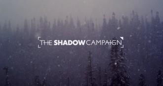 The Shadow Campaign