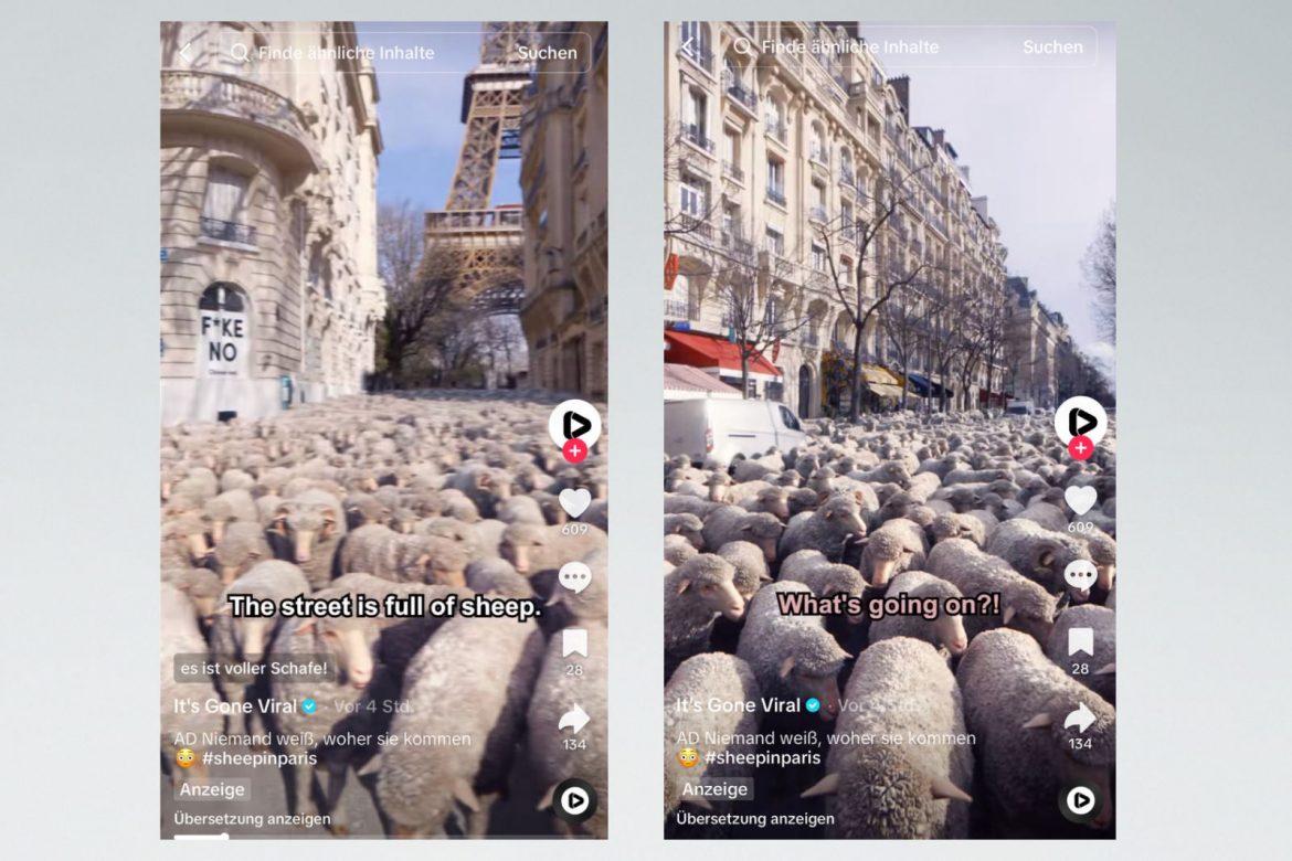 Schafe in Paris