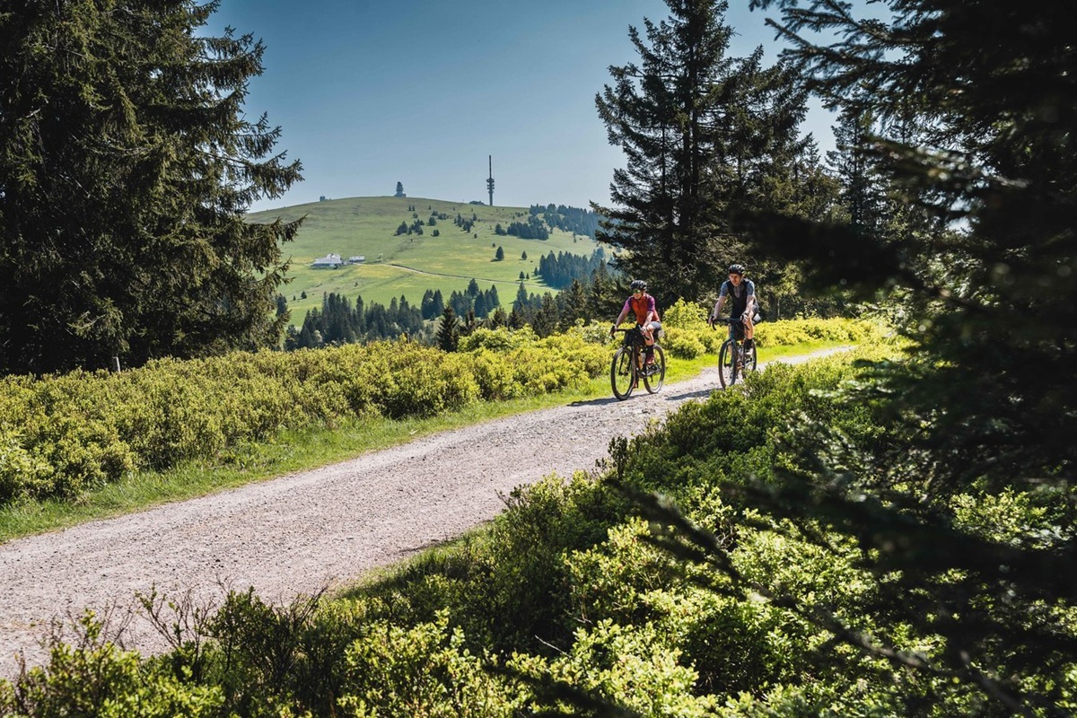Schwarzwald
