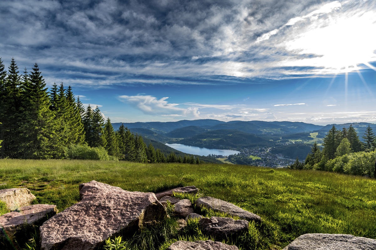 Schwarzwald