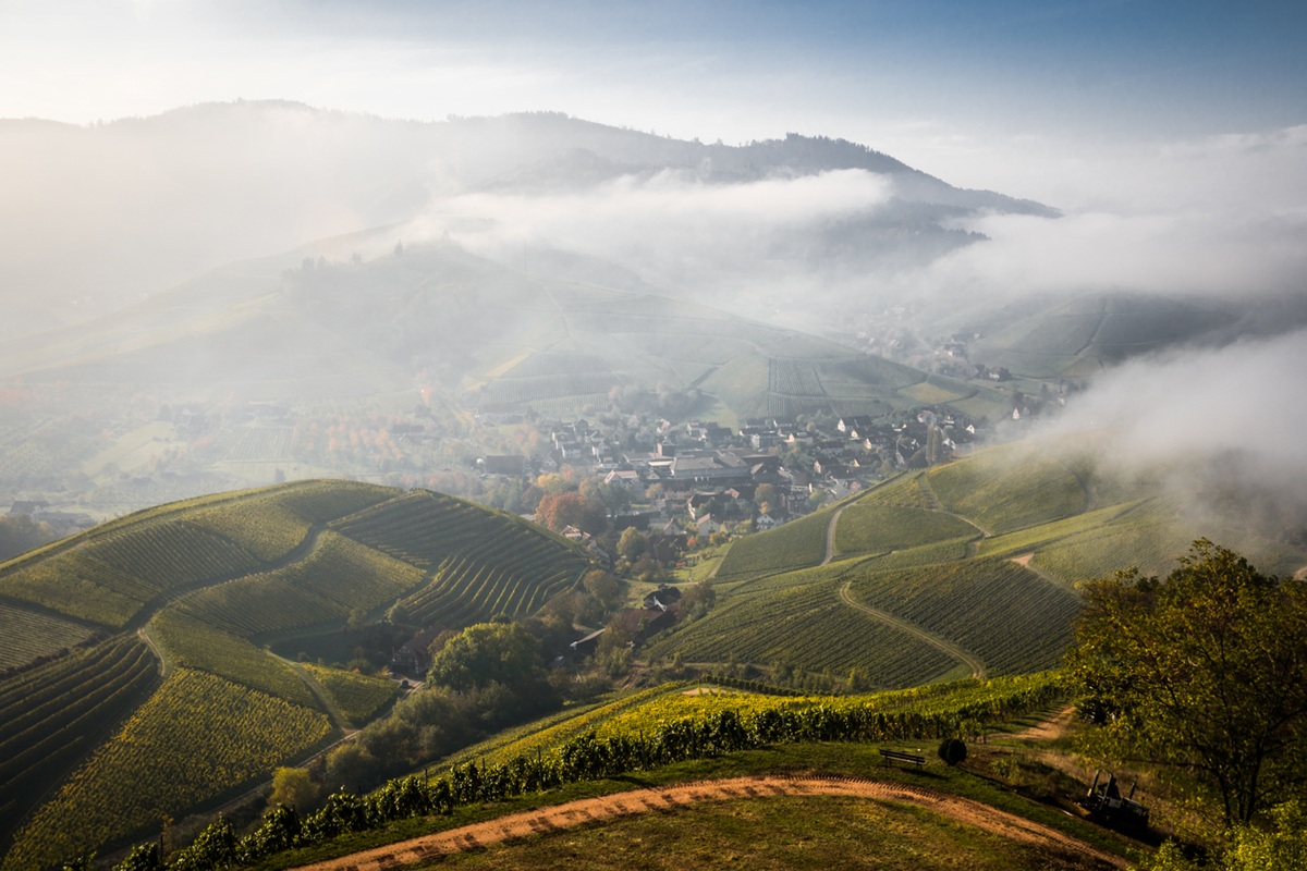 Schwarzwald