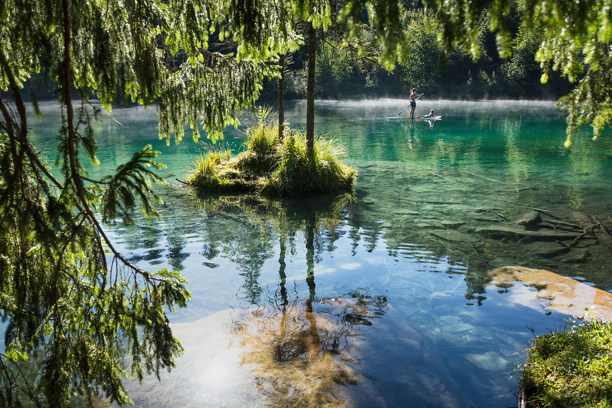 Wild Swimming