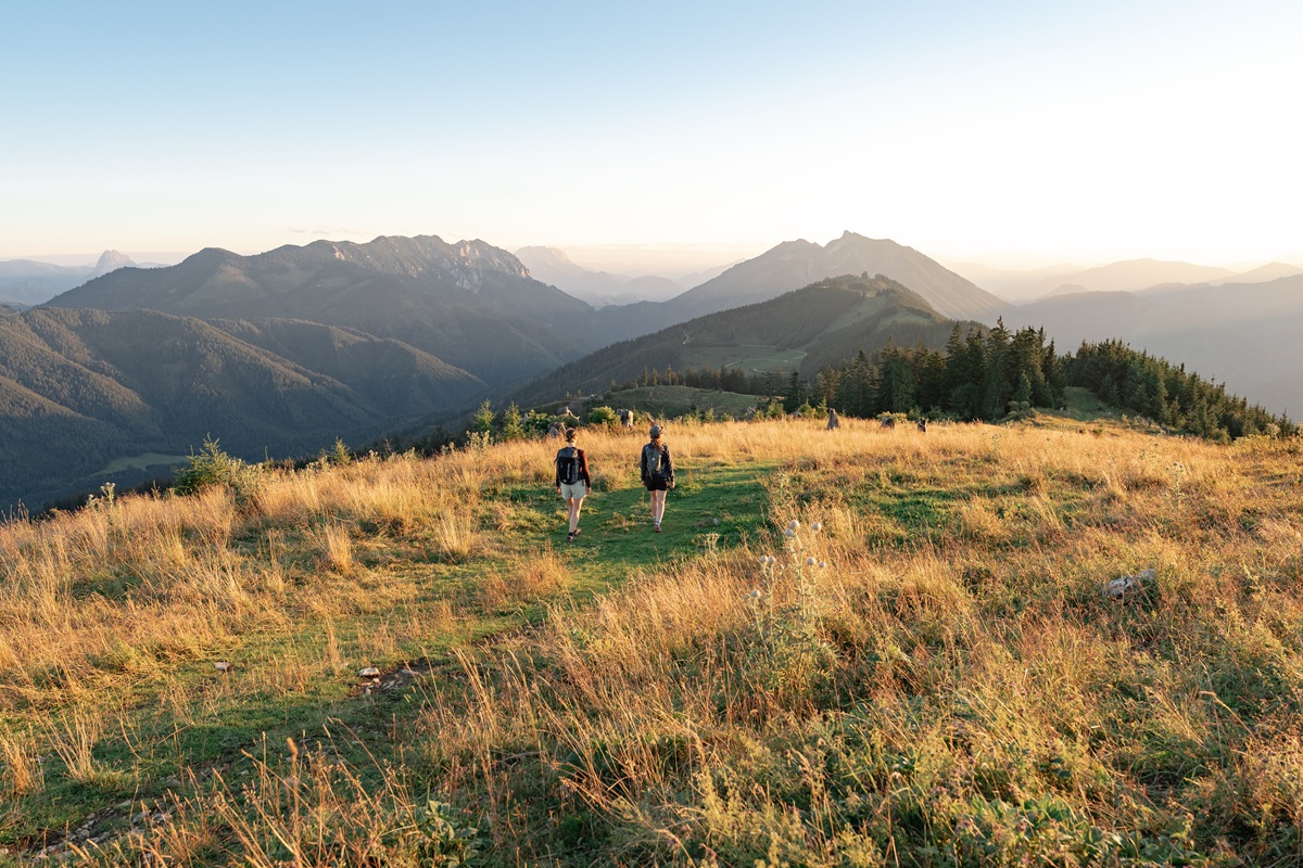Niederösterreich