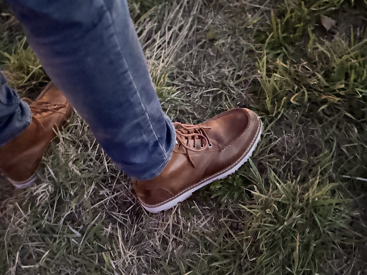 TOMS