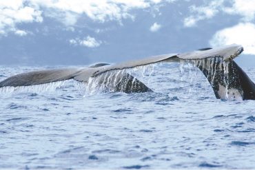 Acht unvergessliche Orte in Costa Rica