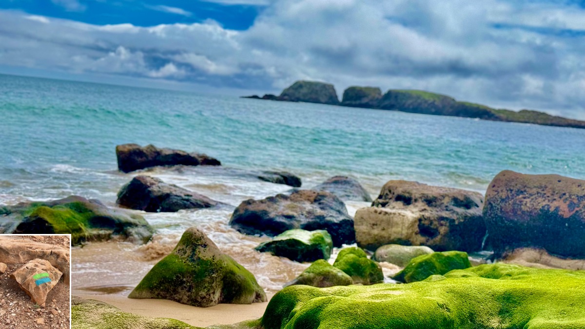 Martinhal Sagres Family Resort & Hotel