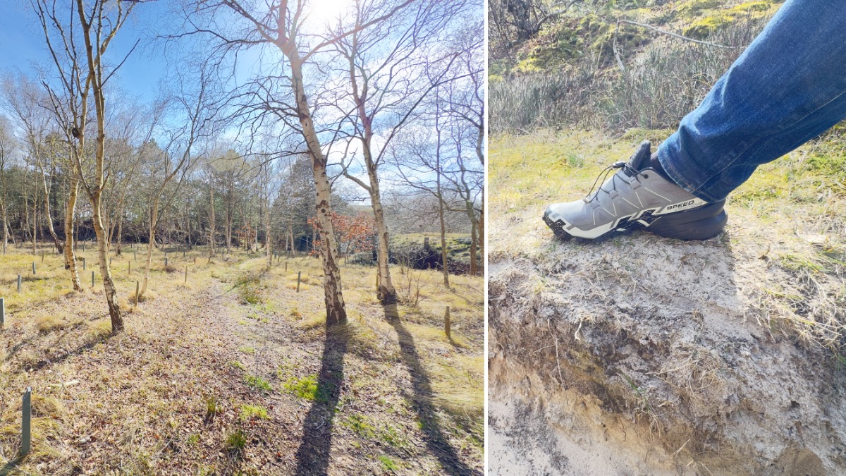 Salomon Speedcross 6 Wide