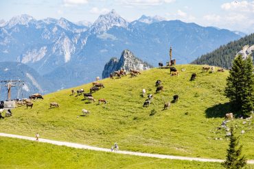 Pfronten im Allgäu: Zwischen Gipfelglück, Panoramawegen und genussvollen Radtouren