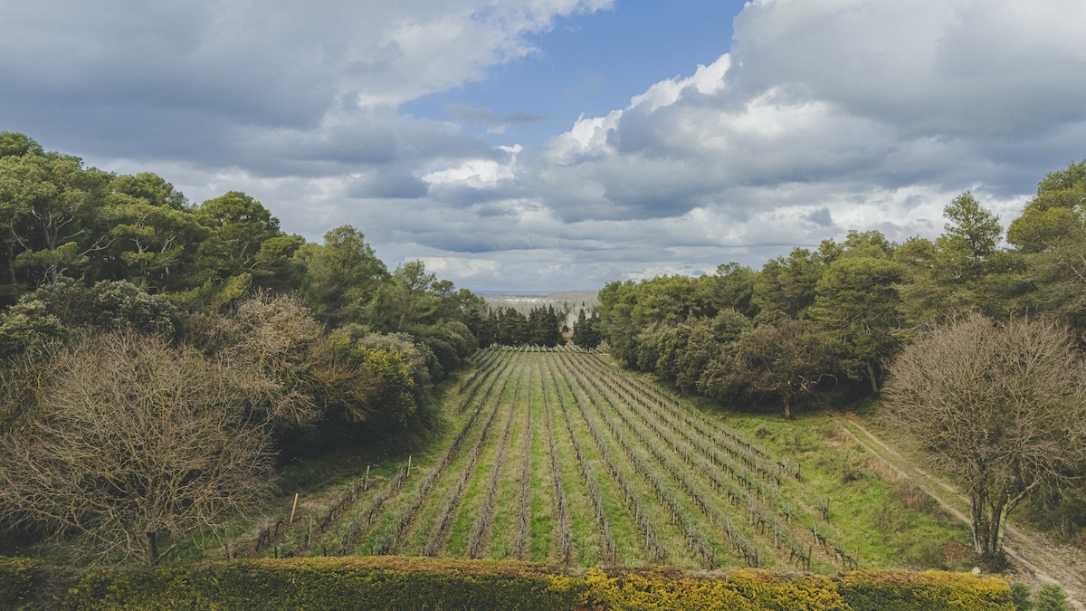 Domaine du Grand Fontanille